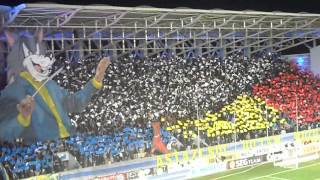 Petrolul Dinamo coregrafie [upl. by Cordelia]