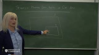 Spinors ideals and algebraic black holes Video 514 [upl. by Ahsela]