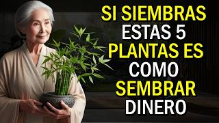 ¡Quieres DINERO SIEMBRA estas 5 PLANTAS en tu CASA  Enseñanzas Budistas [upl. by Dleifrag482]