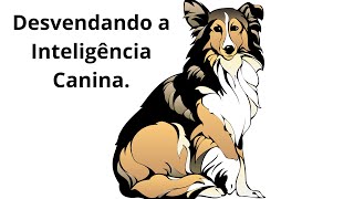 Desvendando a Inteligência Canina [upl. by Hceicjow]