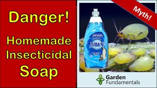 Homemade Insecticidal Soap Harms Your Plants 😢👿😯 Here is a Better Alternative [upl. by Enelaehs]