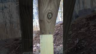 Best deck bracing install framing diy deck bracing [upl. by Anayit]