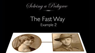 Solving a Pedigree  the Fast Way example 2 [upl. by Bedelia957]