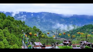 Kasauli Trip  Winnies Holiday Resort Review  Amazing Experience [upl. by Yruama]