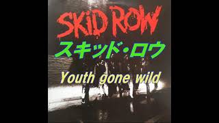 ロック洋楽名曲80年代 スキッド・ロウ skid row Youth gone wild 和訳amp歌詞 [upl. by Nytsirc]