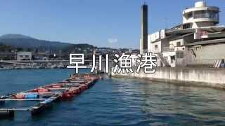 【釣り場情報】小田原 早川漁港 Fishing point ODAWARAHAYAKAWA Fishing Port [upl. by Atinahc]