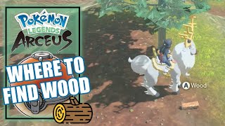 Pokemon Legends Arceus  Where to Find Wood Location [upl. by Hgielac147]