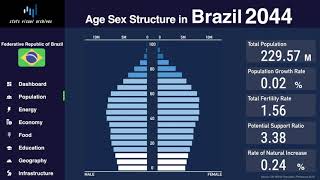 Brazil  Changing of Population Pyramid amp Demographics 19502100 [upl. by Carrol]