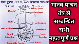 NMMS Exam class 8 Science Paper 2024 Related Questions  Digestive System [upl. by Eive]