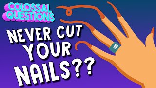 What If You Never Cut Your Fingernails  COLOSSAL QUESTIONS [upl. by Orvie]