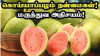 கொய்யாப்பழம் மருத்துவ நன்மைகள்  Guava Fruit Health Benefits in Tamil Guava Health Tips in Tamil [upl. by Nede]