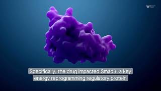 The chemotherapy drug docetaxel slows prostate cancer cell proliferation via the glycolysis pathway [upl. by Nojad]