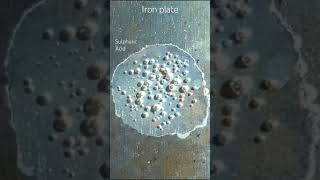 Sulphuric Acid vs Iron [upl. by Johann]