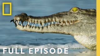 Oceans Full Episode  Hostile Planet [upl. by Niledam]