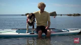 How to get your dog on a paddle board with Red Paddle Co [upl. by Htrag102]