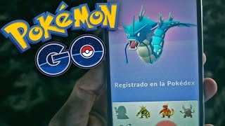 EPIC GYARADOS Pokemon GO  LuzuGames [upl. by Urbanna952]