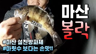 마산 볼락 마릿수 보다는 손맛 보기 볼락낚시 마산볼락 Rockfish 무늬삼촌TV [upl. by Raimund891]