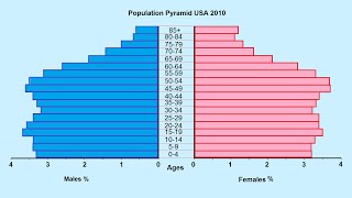 How to make a Population Pyramid [upl. by Santana]