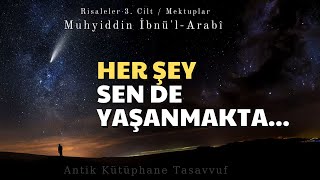 Her Şey Sen de Yaşanmakta  İbn Arabi Hz  Sesli Kitap [upl. by Hunger564]