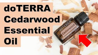 doTERRA Cedarwood Essential Oil Benefits and Uses [upl. by Atinhoj114]