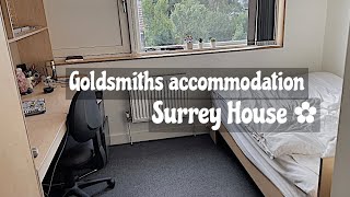 Surrey house room tour  Goldsmiths accommodation 🏠📚 [upl. by Emeric905]