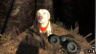 theHunter Classic  New Retriever Dog Duna [upl. by Soalokcin254]