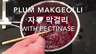 Plum makgeolli 2 pectinase 자두 막걸리 homebrew Korean rice wine [upl. by Froehlich]