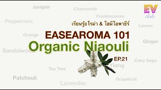 Organic Niaouli ออร์แกนิก ไนออลลี่ EP21 [upl. by Peirsen]