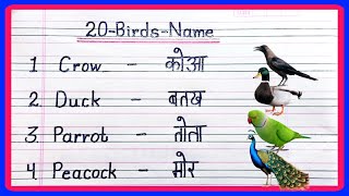 20 birds name in hindi and english  birds name  pakshiyon ke naam  पक्षियों के नाम [upl. by Aneekahs245]