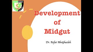 Development of Midgut [upl. by Ariaes]