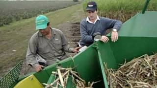 Sembradora de Caña de Azucar Neozaf 6000  Puesta a Punto Sugarcane Planter Tuningavi [upl. by Otreblasiul]