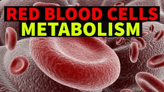 RED BLOOD CELLS  METABOLISM  DrSonu Yadav  Pathology Kingdom  Haematology [upl. by Ahiel]