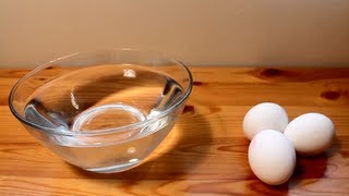 Egg Freshness Test [upl. by Maillw]