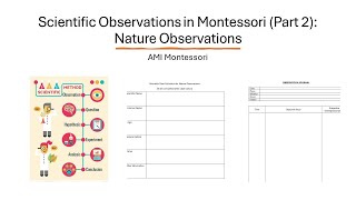 Scientific Observations Part 2 Nature Observations  Plant and Animal [upl. by Erica]