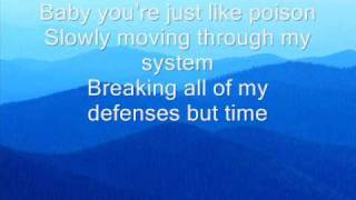 beyonce poison lyrics video [upl. by Yrolg92]