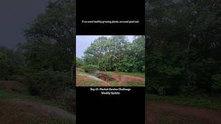 Day 41 Market Garden Challenge Weekly Update organicfarming india farm hyderabad agriculture [upl. by Gnot]