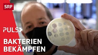 Gefahr durch resistente Bakterien – Was wenn Antibiotika ihre Wirkung verlieren  Puls  SRF [upl. by Aelrac]