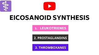 Eicosonoids Synthesis  Leukotrienes Prostaglandins and Thromboxanes [upl. by Kcyred33]