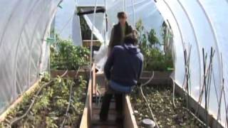 Rooftop Gardening is a Growing Trend in New York City [upl. by Nerrag140]