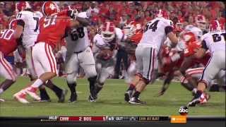 Clemson Vs Georgia FULL GAME HD 2013 [upl. by Akeemahs]