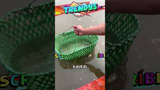 Algo muy extraño para los peces  TrendysEsp animalitos shorts español [upl. by Ballard130]