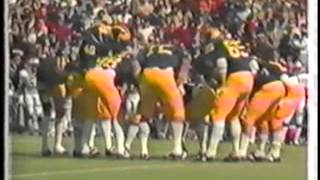 South Carolina vs Michigan football 1980 [upl. by Anirazc458]