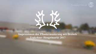 Impressionen der Pflastermusterung mit Dreieck  Trakehner Hengstmarkt 2017 [upl. by Kuehn609]