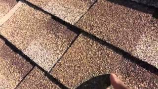 RIDGE CAP SHINGLES [upl. by Analra171]