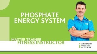 Phosphate Energy System [upl. by Anaic207]