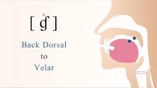 ɠ̊  ƙ  unvoiced back dorsal velar implosive stop [upl. by Afnin111]