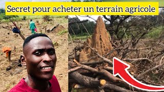 3 SECRETS pour bien ACHETER un terrain AGRICOLE [upl. by Alyahsat]