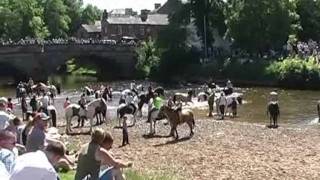 Appleby Horse Fair 2011 Day 2wmv [upl. by Nikoletta557]