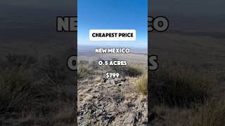 05 acres in New Mexico for 799 shorts fyp foryou realestate shortvideo property usa [upl. by Gayner]