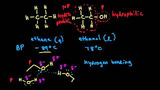 Physical properties of alcohols and preparation of alkoxides  Organic chemistry  Khan Academy [upl. by Rikki]